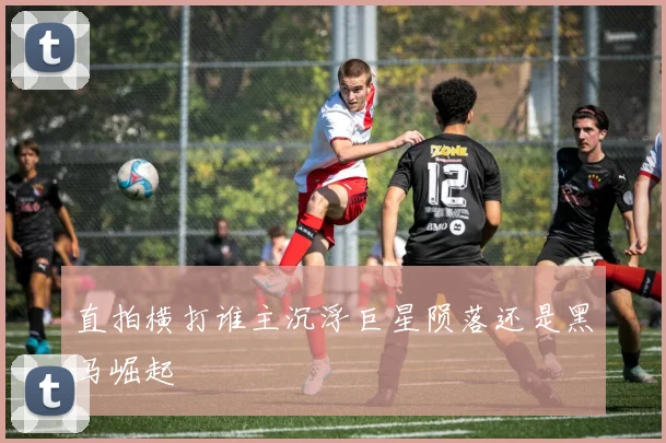 直拍横打谁主沉浮巨星陨落还是黑马崛起